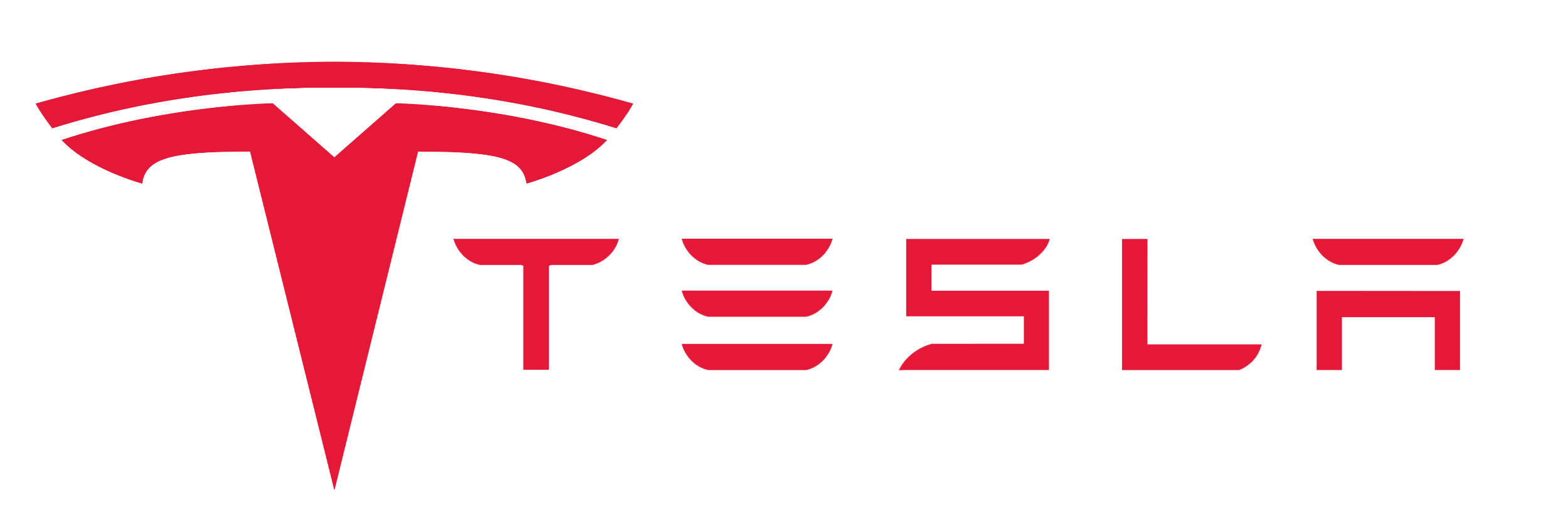 teslsmarketentity-logo-3.svg teslaboring.usplatform-inc.png